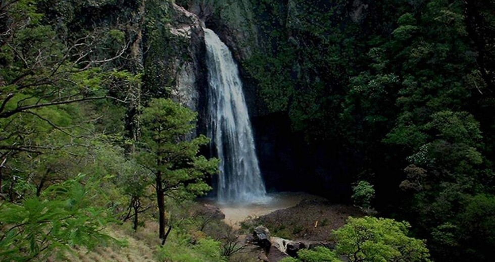 Unesco declara 18 reservas más de la biosfera