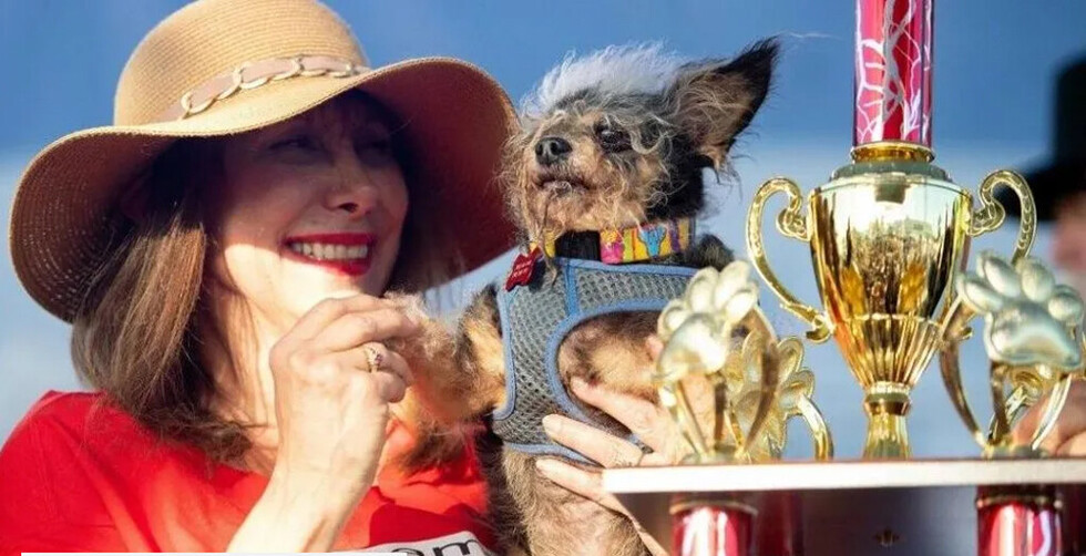 Eligieron al perro más feo del mundo