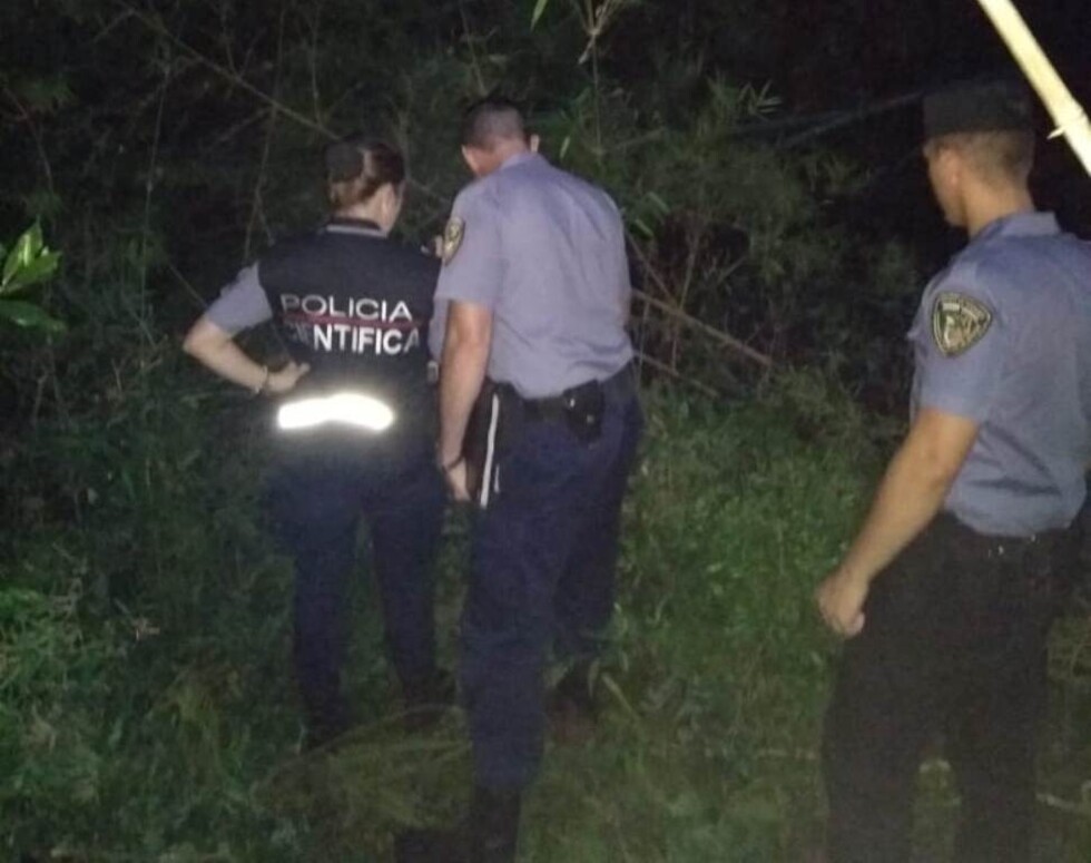 Hallan el cadáver de una mujer en un parque