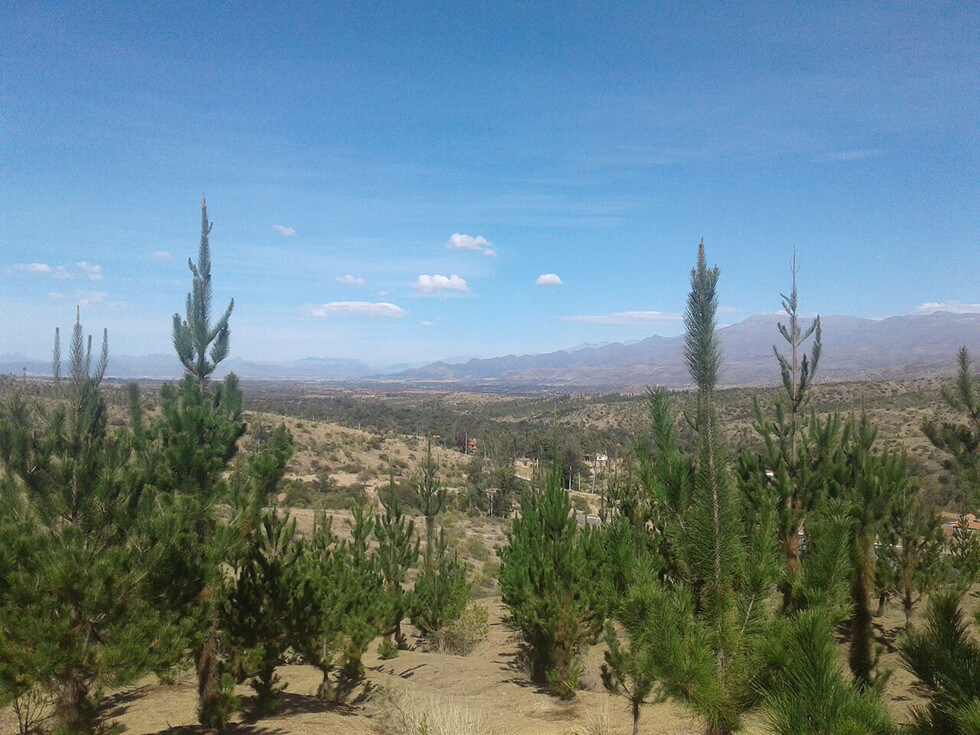 Vista del valle tarijeño desde Thaca Huayco