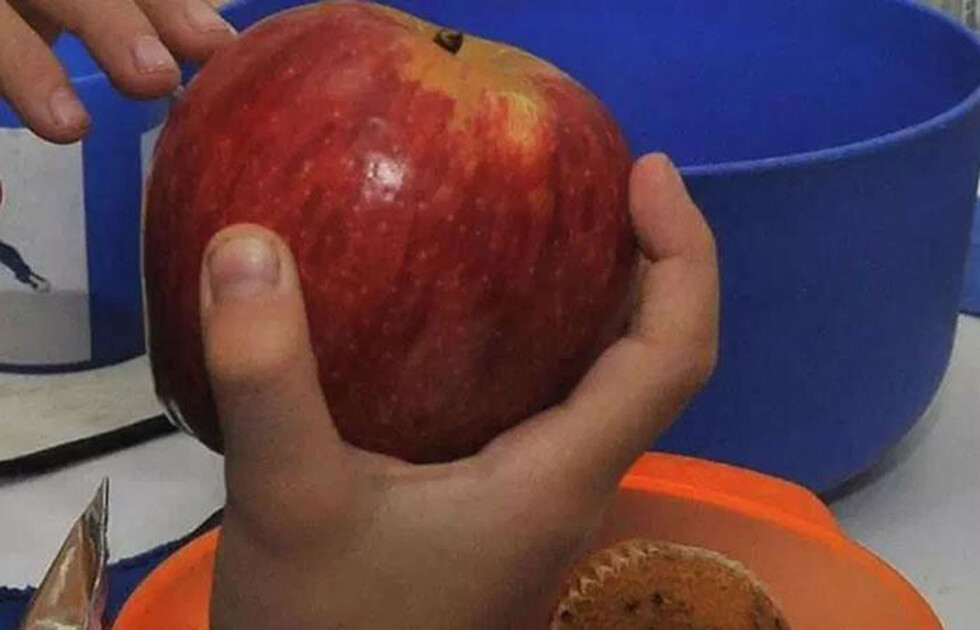 La obesidad infantil en Tarija, ¿son culpables los padres?