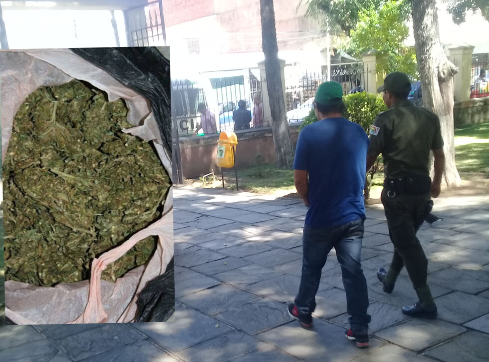 Sentencian a hombre por tener 4 kilos de marihuana