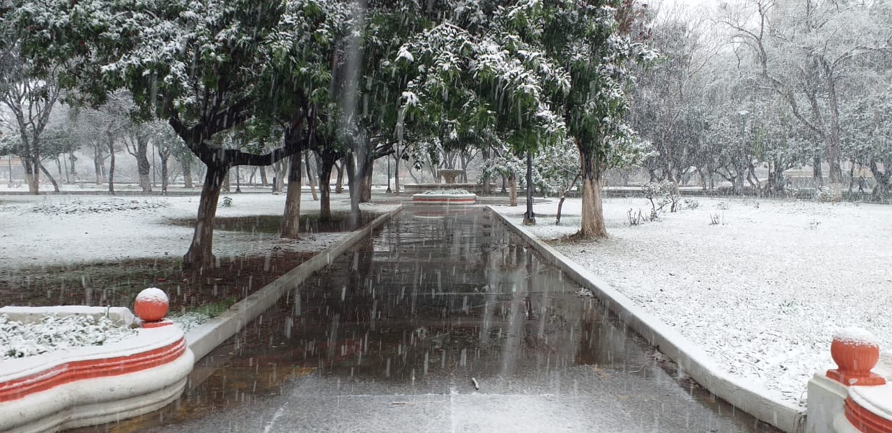 nevada en la plaza tarija