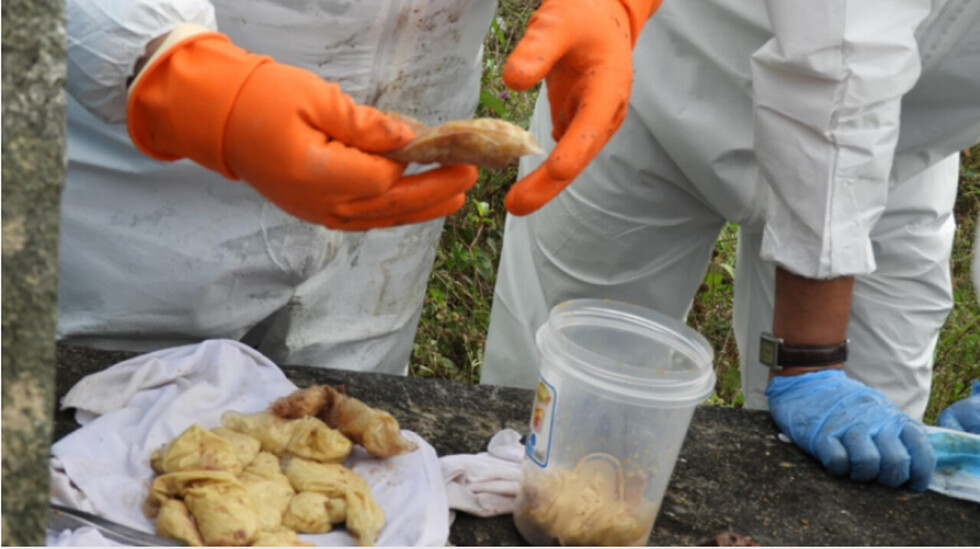 IDIF encontró 58 cápsulas de droga en tres cadáveres