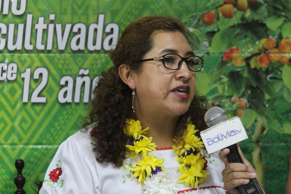 Yunchará, la nevada afectó a 33 comunidades