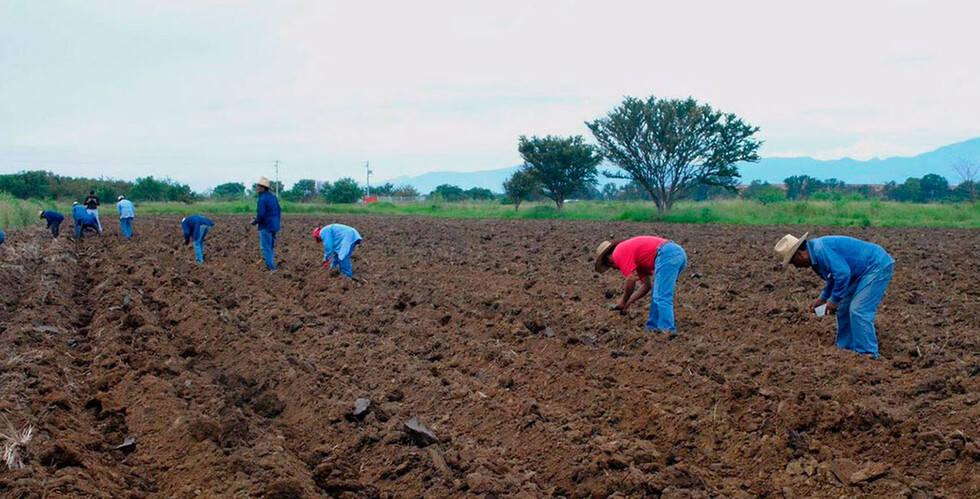 De 336 carpetas del Prosol solo 70 recibieron desembolsos