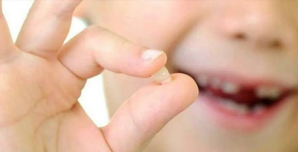 Dientes de leche curan enfermedades