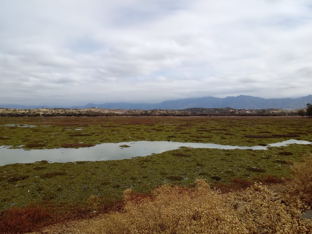 Alistan un convenio para la limpieza del lago San Jacinto de Tarija