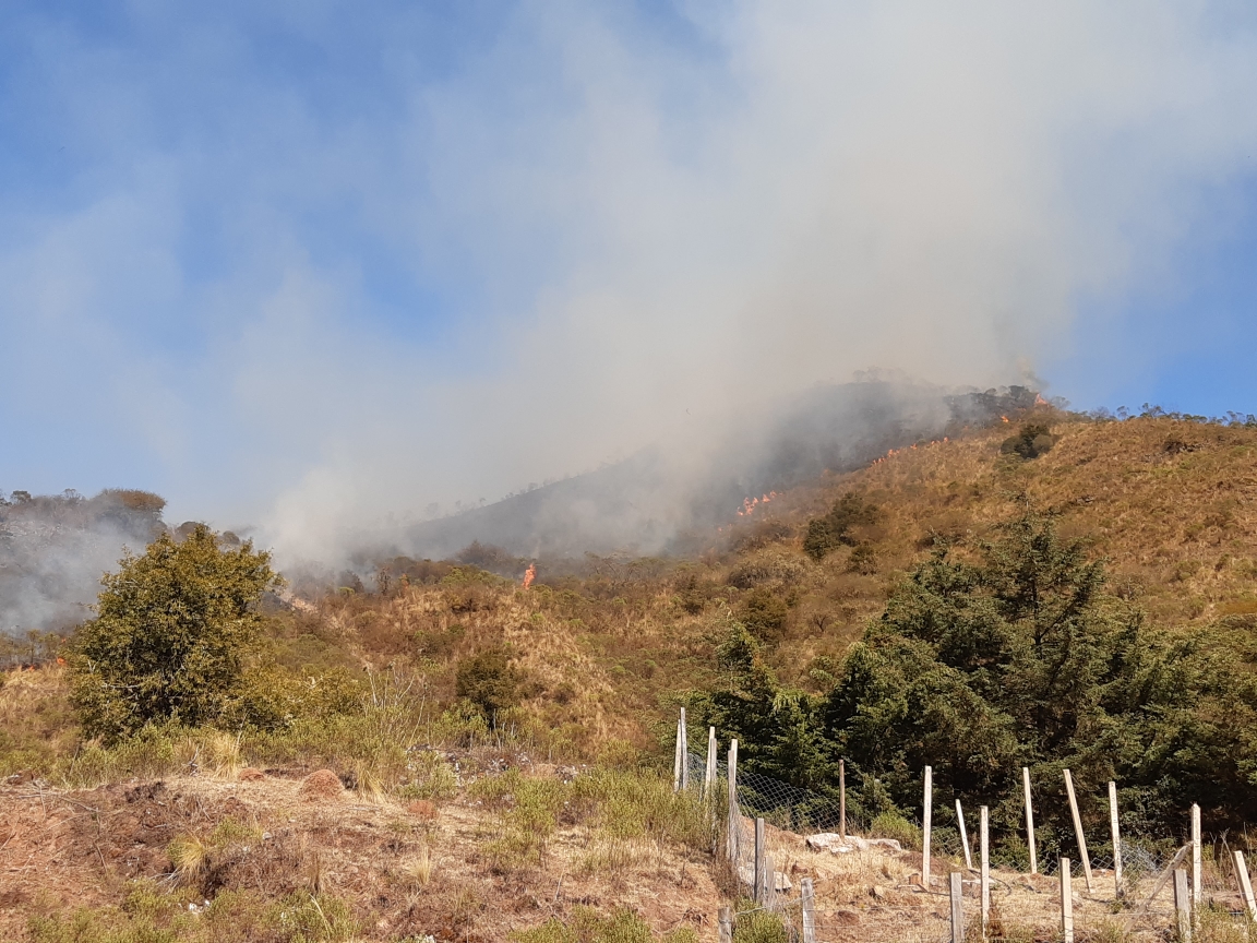 Reportan incendio en Canaletas-Entre Ríos (Videos)