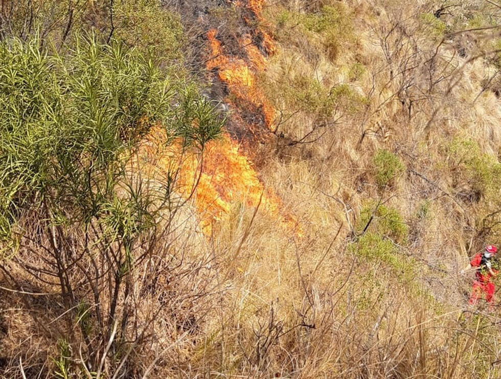 Grupos operativos controlan el incendio en Canaletas