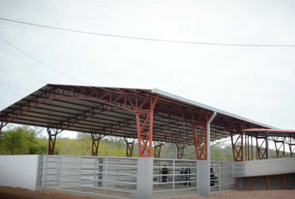 Vicepresidente inaugura matadero municipal en Caraparí