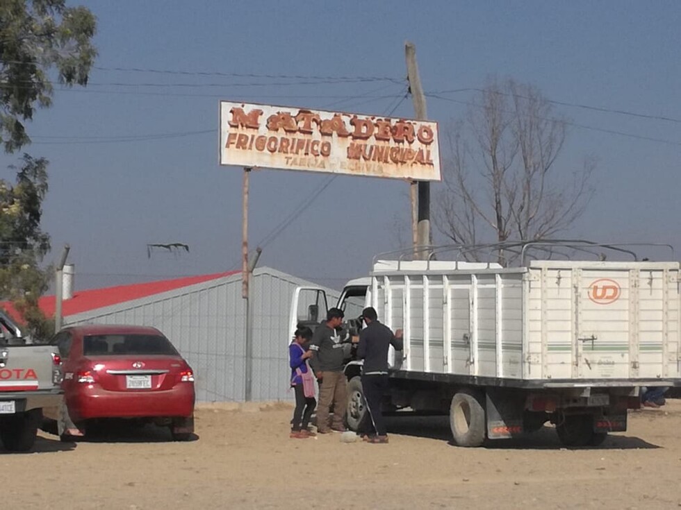 Mejoran el matadero de Tarija pero aún falta la planta de tratamiento