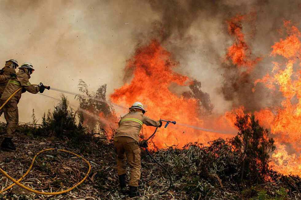Chaco Paraguayo: incendios dañan más de 50 mil ha