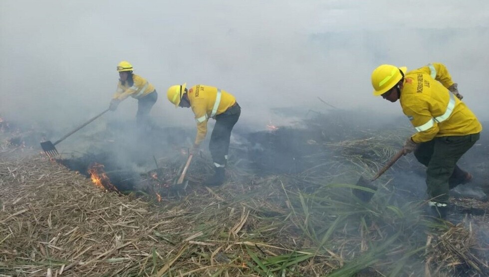 Argentina enviará 227 brigadistas forestales contra incendios en Santa Cruz