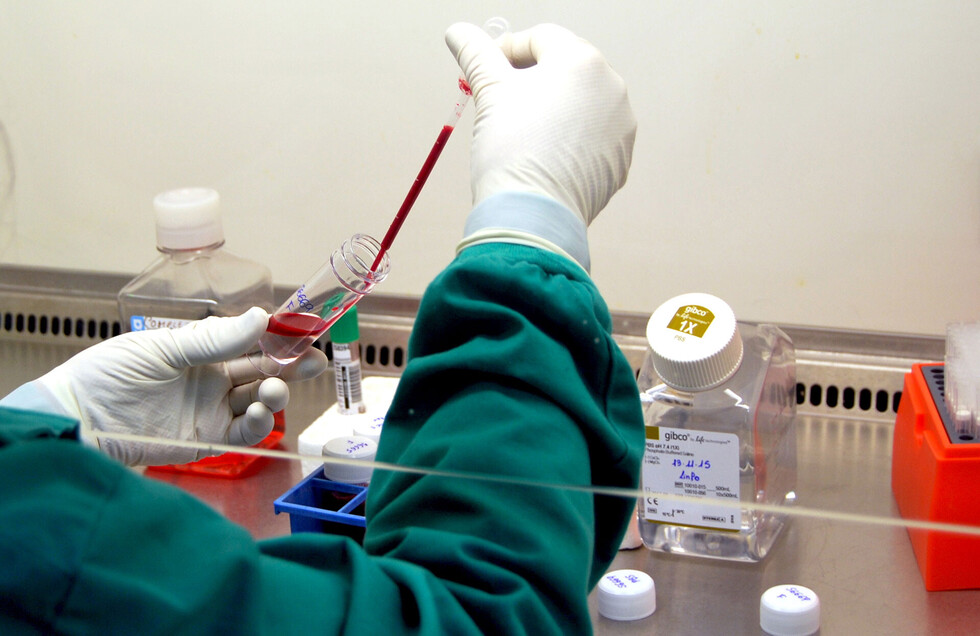 La leishmaniasis pone en alertar al Sedes en el Chaco