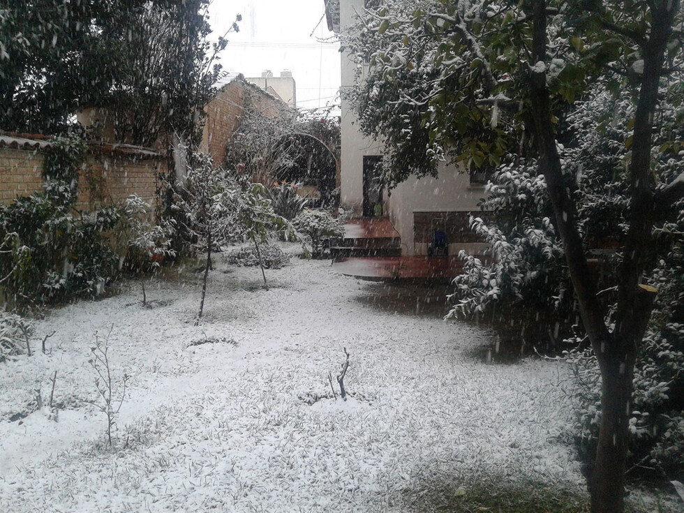 Jardines emblanquecidos por  la nevada en Tarija