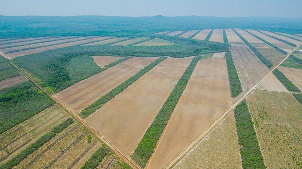 Partidos no aclaran intenciones de ampliación de la frontera agrícola