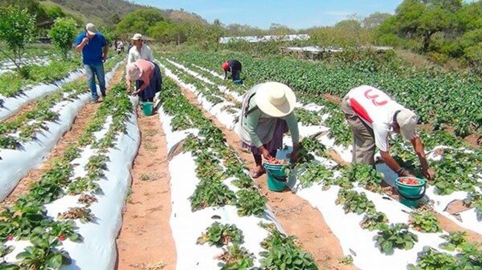 El cambio climático golpea a Bolivia, ¿qué proponen los políticos?