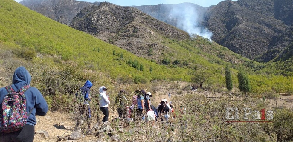 Profesionales en salud suspenden paro en Tarija por incendios