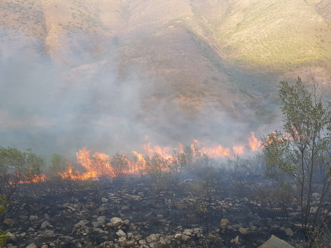 Médicos de 'Mi Salud' brindan ayuda a bomberos que sofocan incendio en Tarija