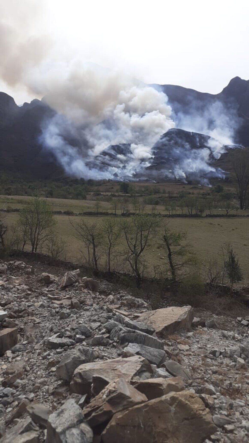 Logran sofocar parte del incendio en Bella Vista-Tarija