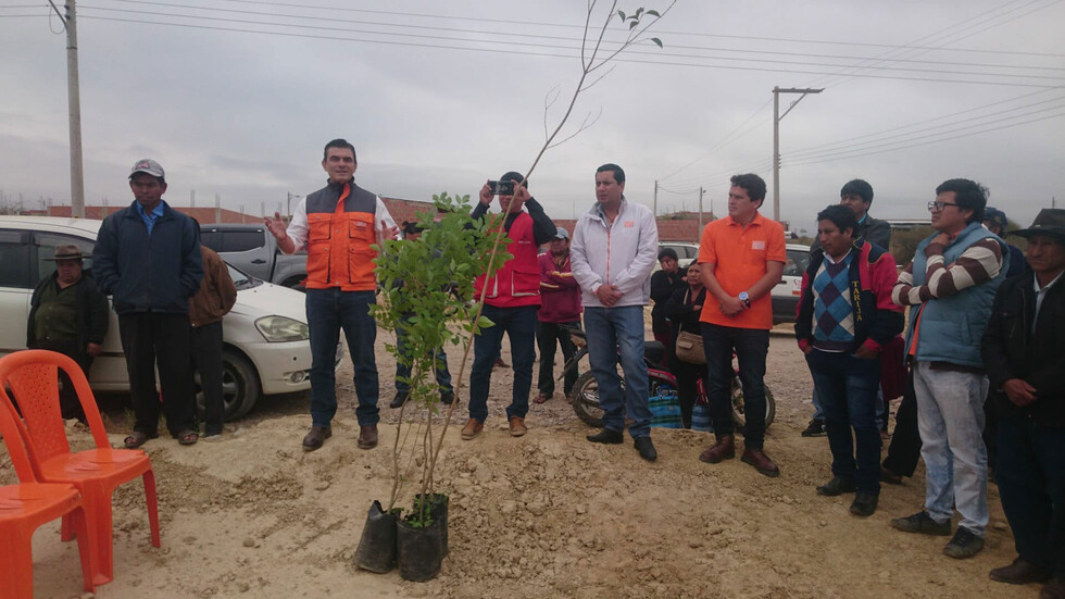 Alcaldía de Tarija inicia plan para arborizar nuevos barrios