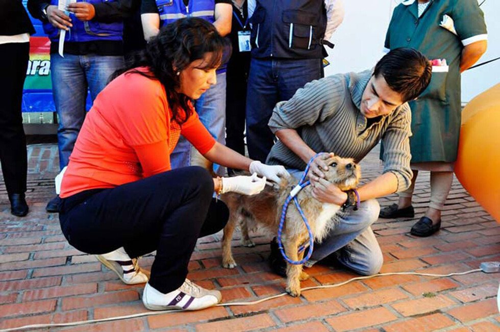 Suma nuevo caso de rabia canina en el Gran Chaco