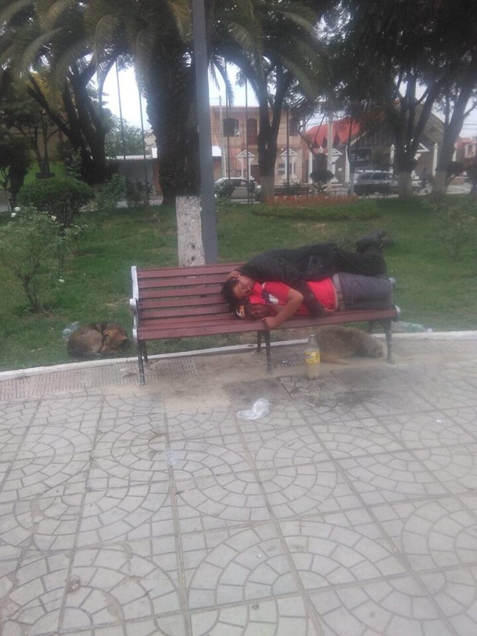 Aumentan los “parroquianos” en Tarija, no hay planes de rehabilitación