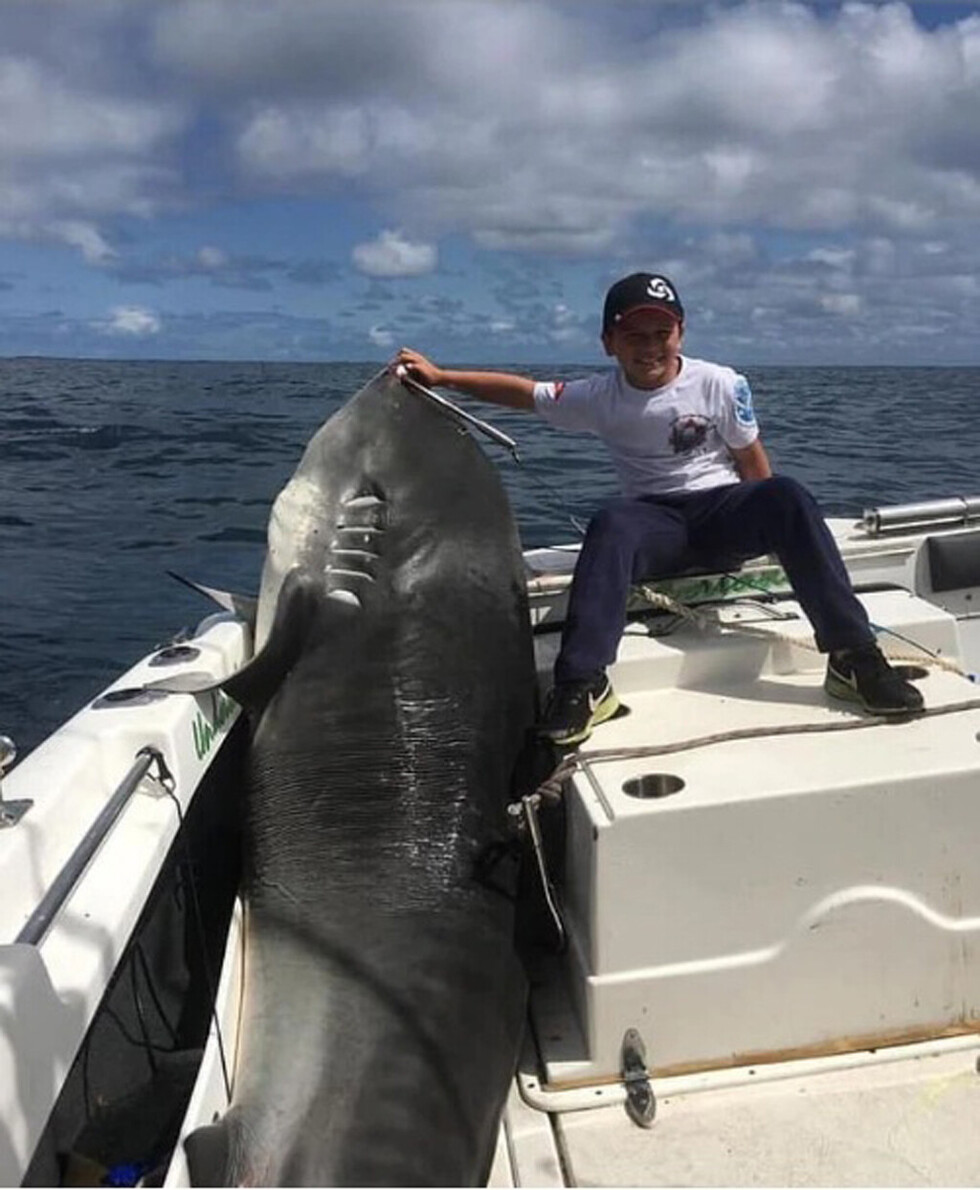 Niño de 8 años captura tiburón de 314 kg