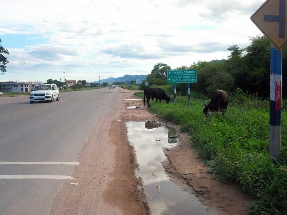 Sujeto muere tras ser atropellado en la ruta 9