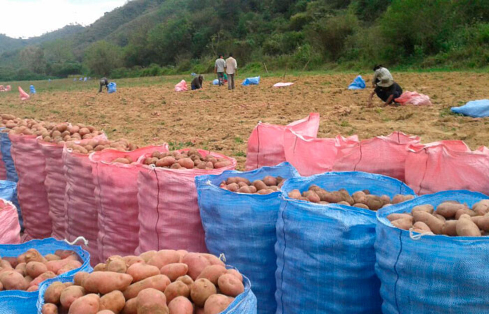 Bioeconomía, la llave para el  desarrollo rural latinoamericano