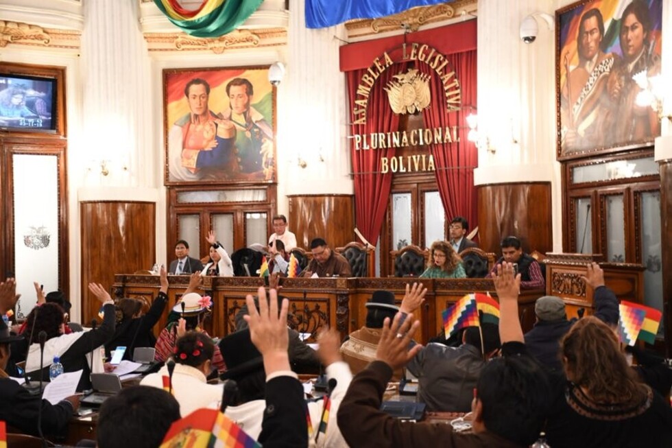 Asamblea anula las elecciones tachadas de fraude y aprueba llamar a nuevos comicios