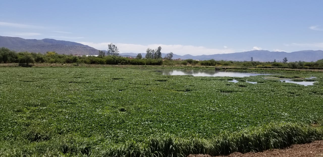 Arrancó segunda fase del proyecto para mitigar olores en San Luis