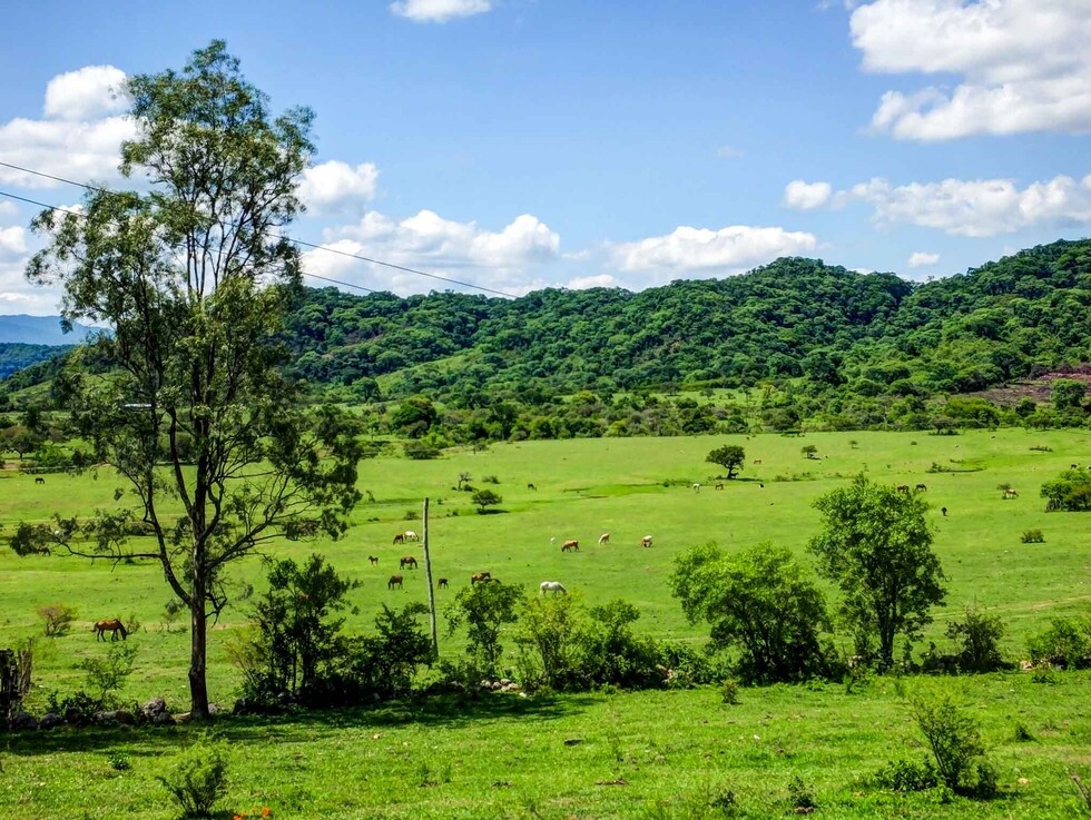 Abren nueva oferta turística, la Ruta Misional Franciscana