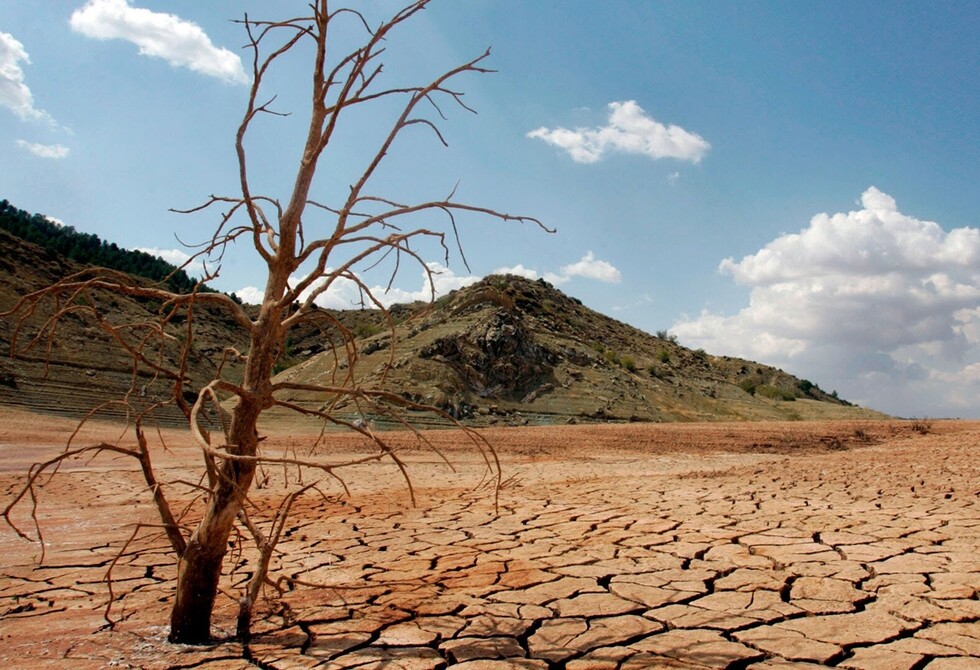 Soluciones basadas en la naturaleza, una oportunidad para América Latina