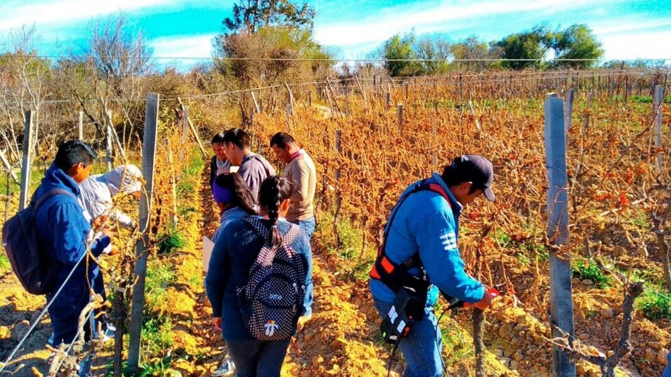 Abono de piedras, la idea que  nació en la UAJMS del Chaco