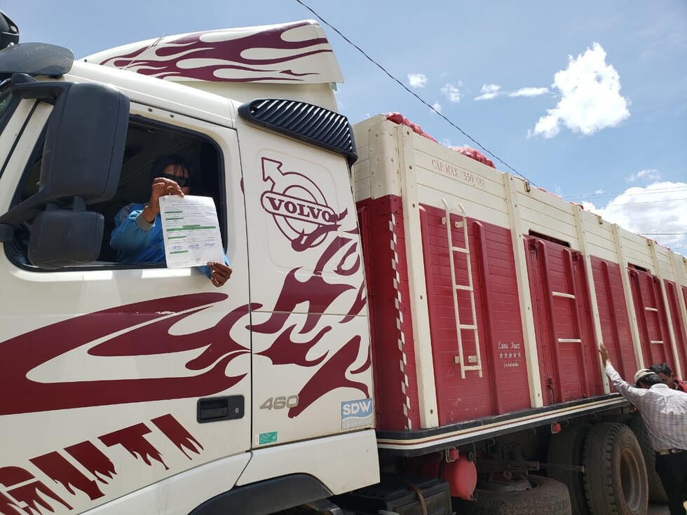 Productores lanzan guía de movimiento de cebolla para frenar contrabando