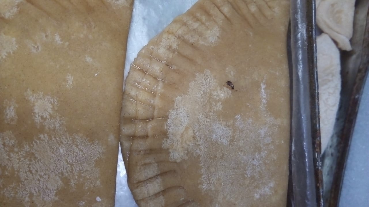 Hallan cucarachas en panadería de Tarija, Intendencia solicita sanción económica
