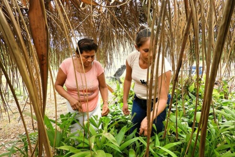 En la Amazonía boliviana mujeres protegen el bosque y se empoderan