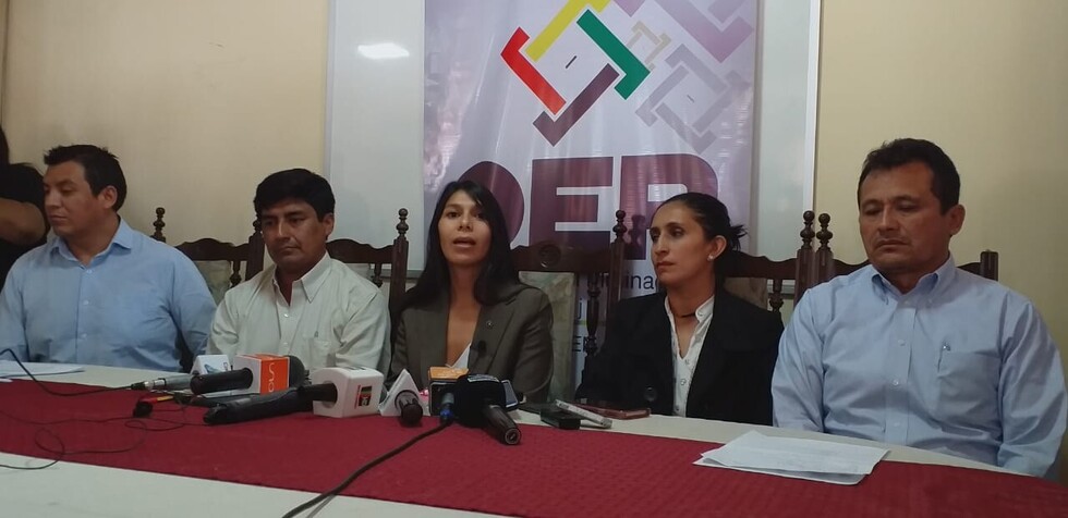 Nataly Vargas Gamboa es la nueva presidenta del Tribunal Electoral de Tarija