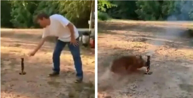 Perro se vengó, cansado de la pirotecnia