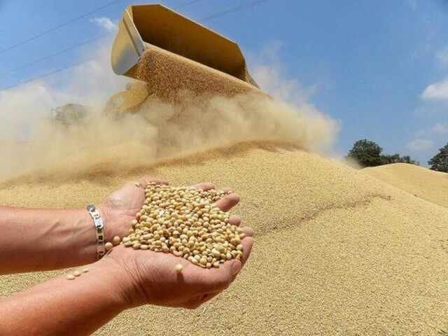La producción de granos en Bolivia disminuyó el 2019