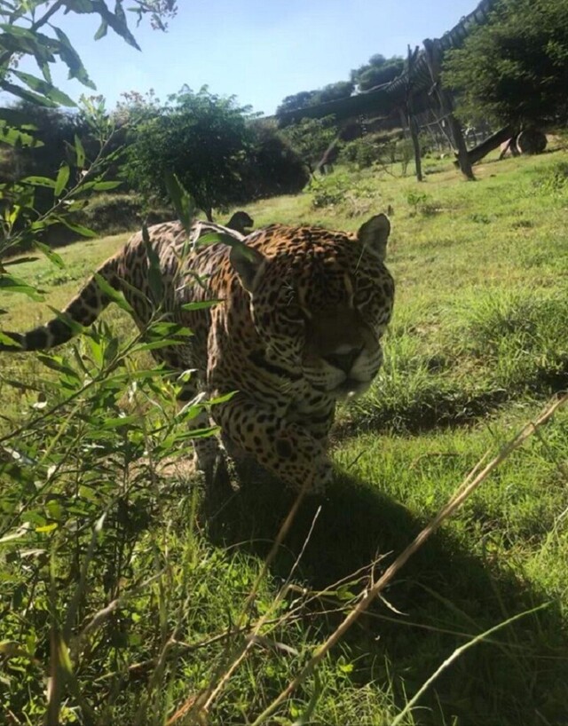 Parque Urbano será centro de investigación al ser Reserva edil