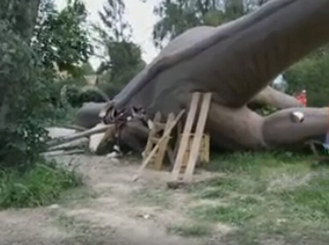 Dinosaurio robótico cayó encima de una niña en Tarija