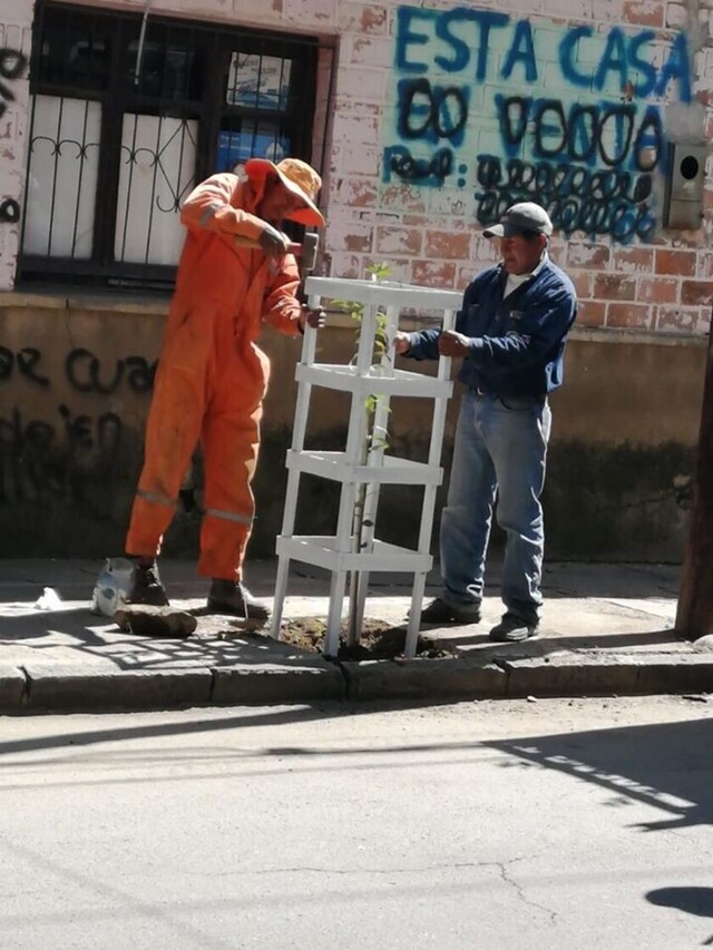 Tarija: Inician proceso a hombre que dañó ornato