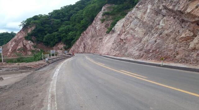 Peligro de extinción de “Paraba de frente roja”