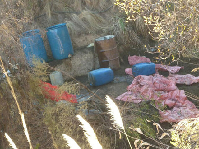 Destruyen 19 fábricas de cocaína en Cochabamba