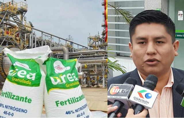 Diputado pide al Gobierno preocuparse por reactivar producción de urea en Bulo Bulo