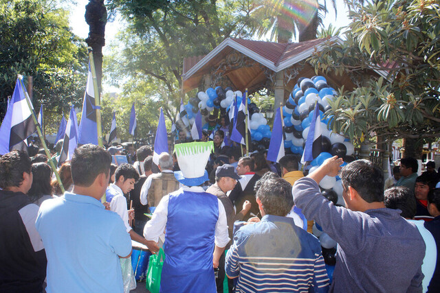 EL MAS Tarija analiza movilizarse por Evo