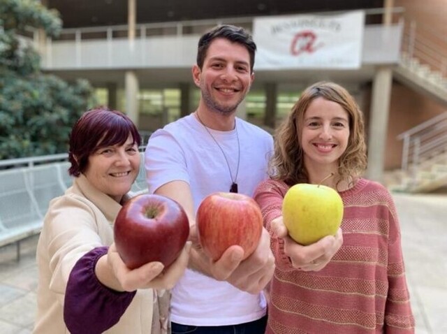 Constatan los beneficios de la ingesta de manzana para la prevención de enfermedades cardiovasculares